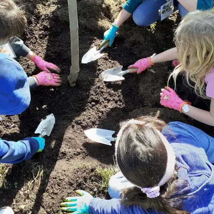 Gemeinsam Grün Gemeinsam Grün