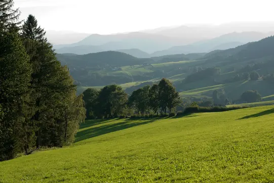 HSL_c_Region_Graz_Hans_Wiesenhofer.