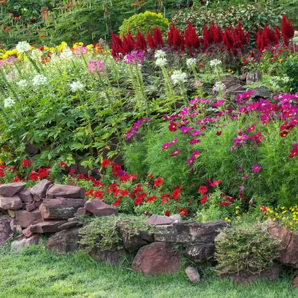 Natur im Garten